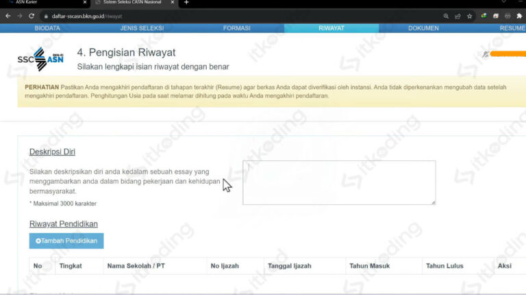 Cara Mengisi Deskripsi Diri Dan Pekerjaan Di SSCASN 2024