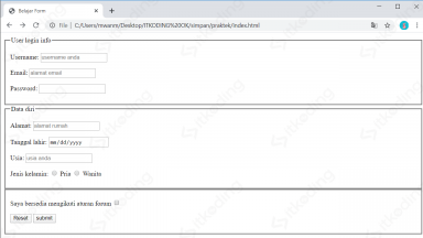 Cara Membuat Form Di HTML : Fungsi Tag Form, Input