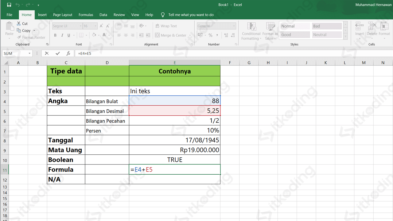 Tipe data excel beserta contohnya