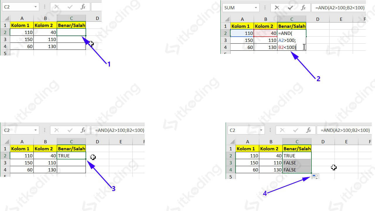 Contoh penggunaan rumus and di excel