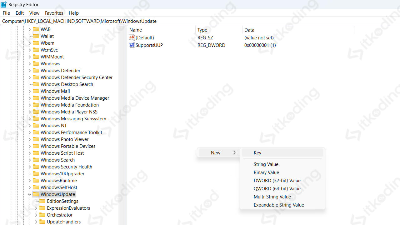 Folder WindowsUpdate di registry editor