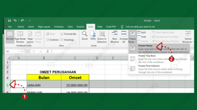 Cara Membuat Freeze Panes Di Excel 2010