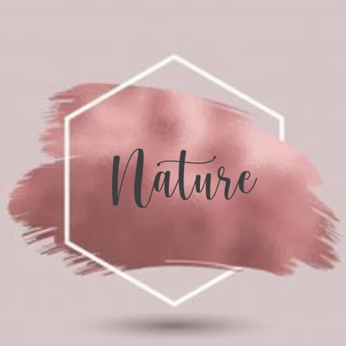 profil sorotan ig aesthetic nature