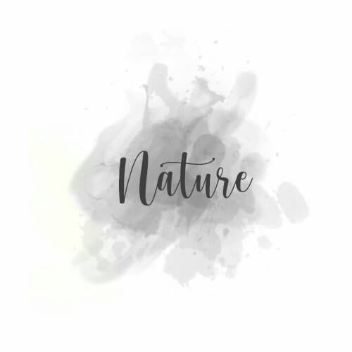 profil sorotan ig nature putih