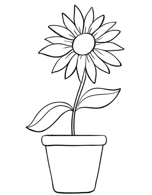 gambar bunga matahari sketsa hitam putih yang mudah