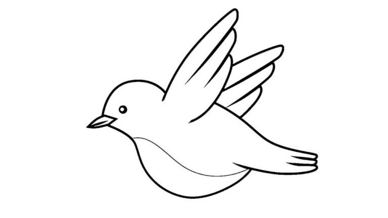 15 Gambar Hewan yang Mudah Ditiru Sketsa & Berwarna