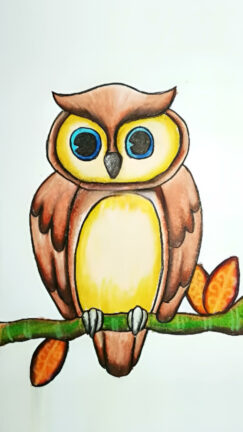 Sketsa Burung Hantu yang Mudah Digambar