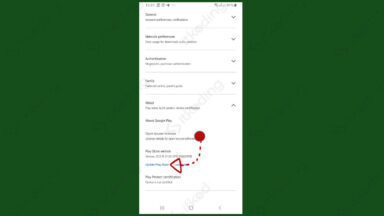 Cara Update Google Play Store Versi Baru Cepat Dan Mudah