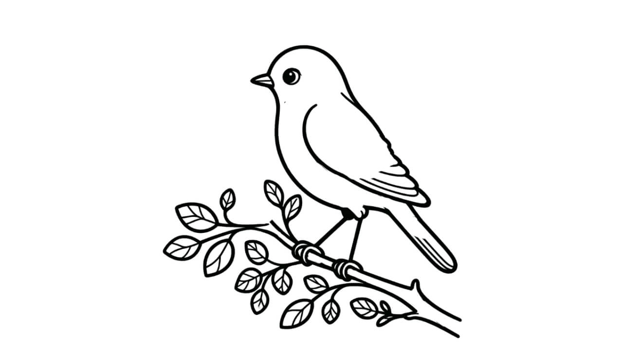 sketsa burung di ranting pohon