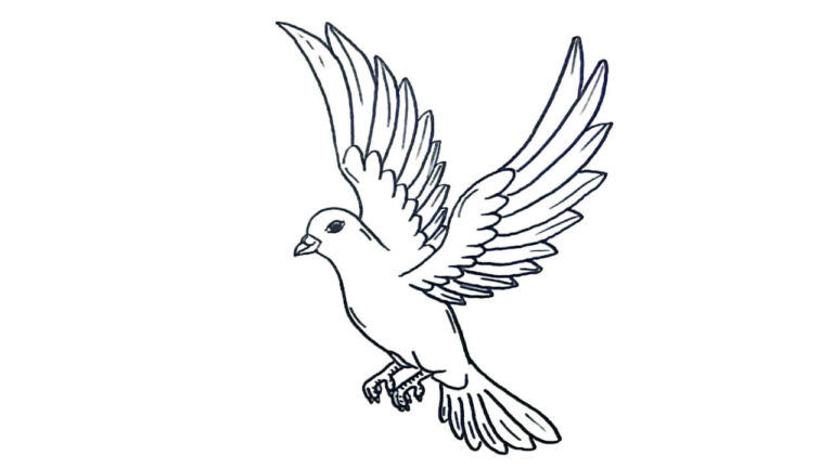 20 Sketsa Gambar Burung Yang Mudah Simpel Tapi Bagus